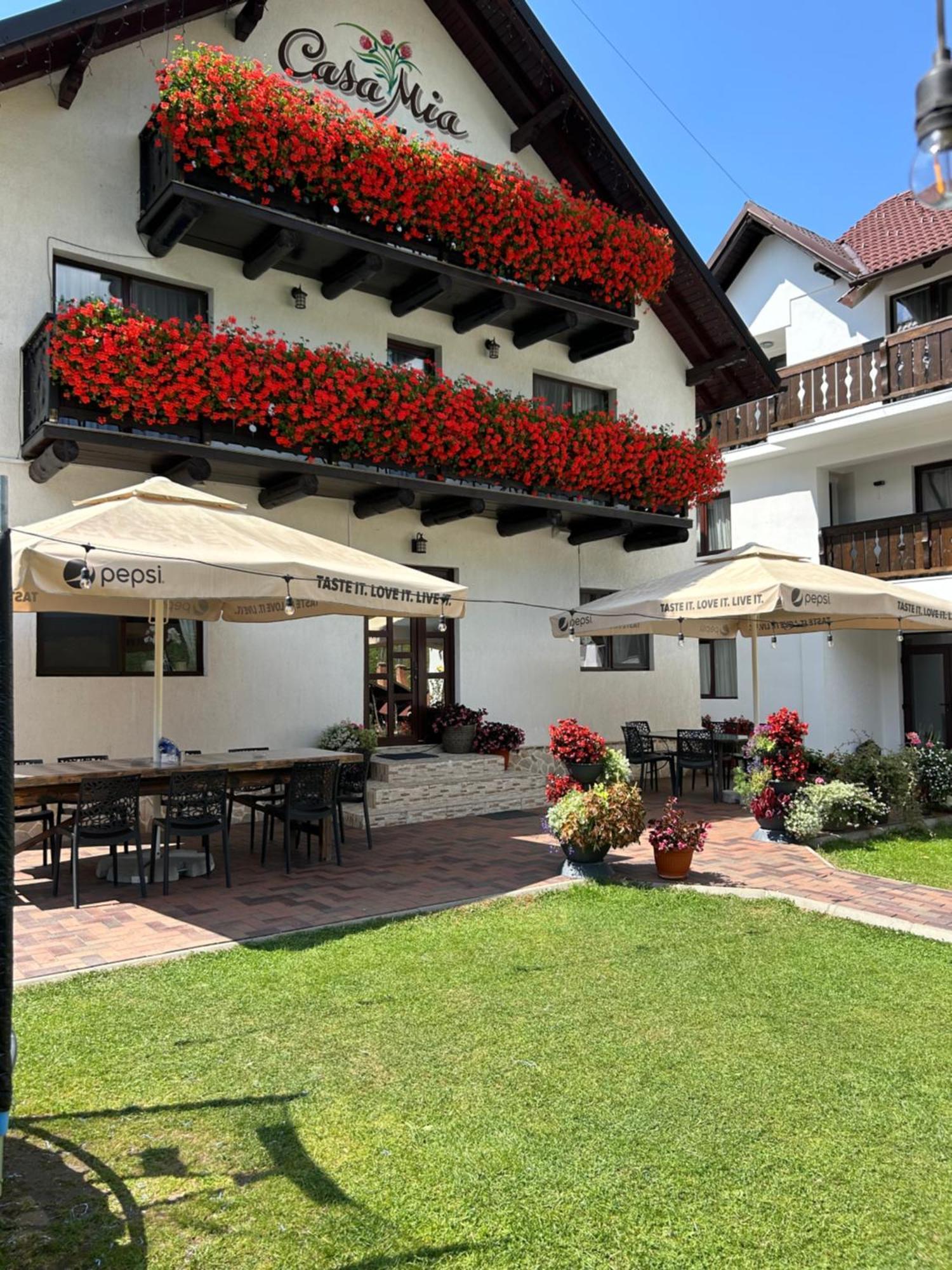Casa Mia Hotel Moeciu De Sus Exterior foto